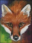 (image for) Red Fox